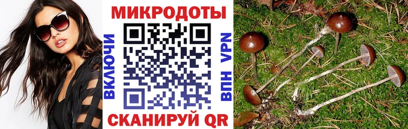 Галлюциногенные грибы GOLDEN TEACHER  маркетплейс как зайти  Пласт  купить  