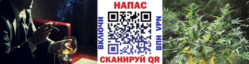 даркнет сайт  Пласт  Шишки марихуана конопля 
